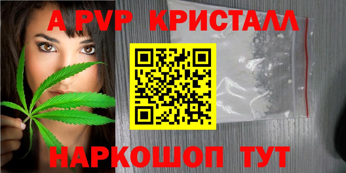Пугачёв  APVP крисы CK  Вход с VPN  A PVP  Альфа ПВП СК КРИС 