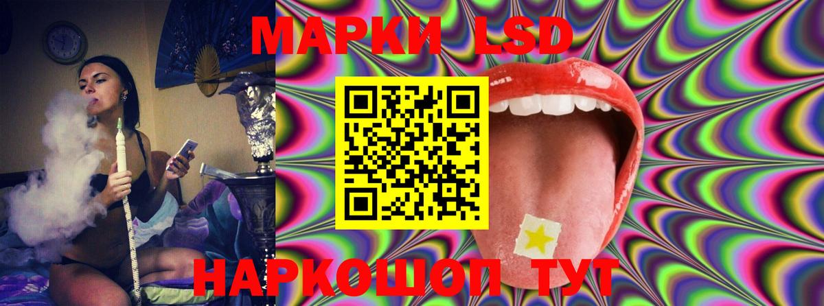   вход  Вход с VPN  Пугачёв  ЛСД экстази кислота 