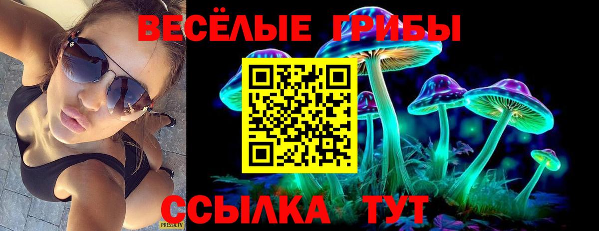 Галлюциногенные грибы MAGIC MUSHROOMS  Галлюциногенные грибы MAGIC MUSHROOMS  Пугачёв  Вход с VPN 
